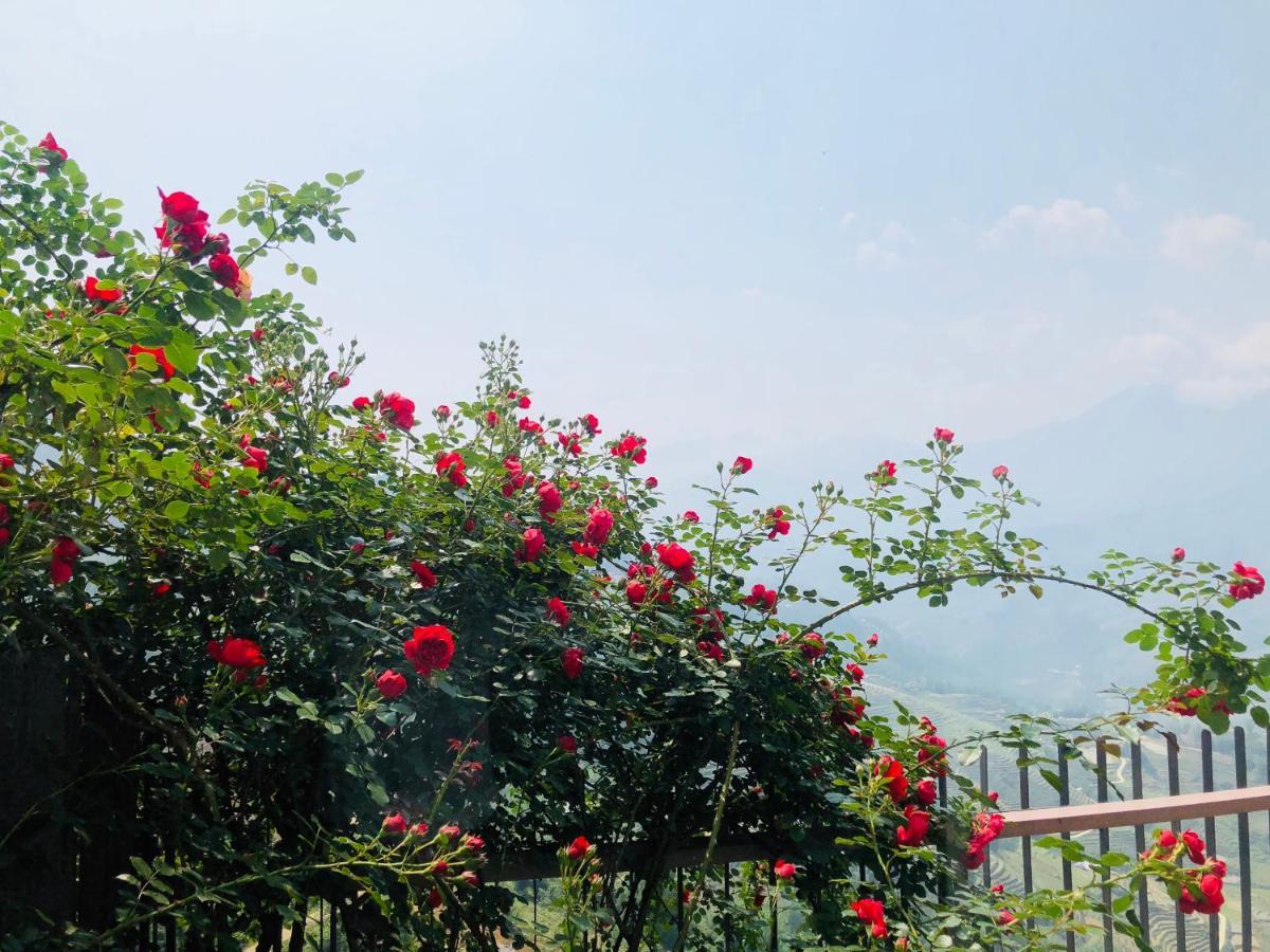 Pao'S Sapa Leisure Hotel מראה חיצוני תמונה Rosa kordesii